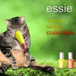 tabs-essie-toucan-tabby