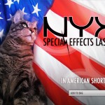 tabs-nyx-american-shorthair