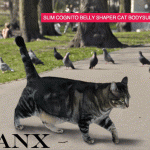 tabs-spanx-slim-cognito