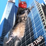 tabs-spider-cat